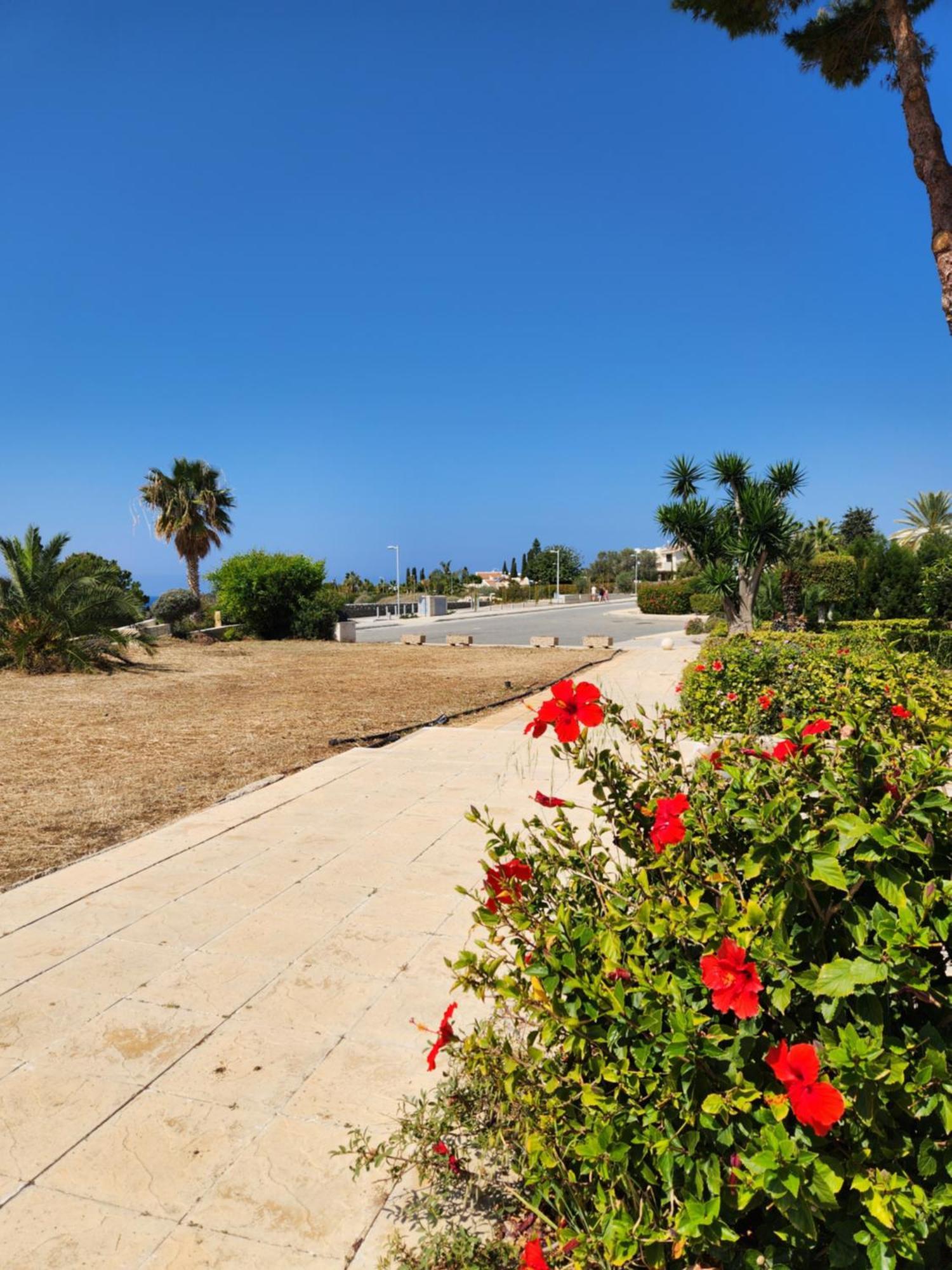 Ocean Pearl Apartment Peyia Exterior photo